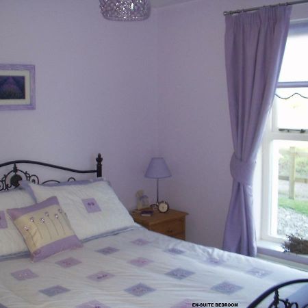 Vila Beech House Portballintrae Exteriér fotografie
